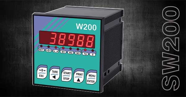 w200 electronic control unit